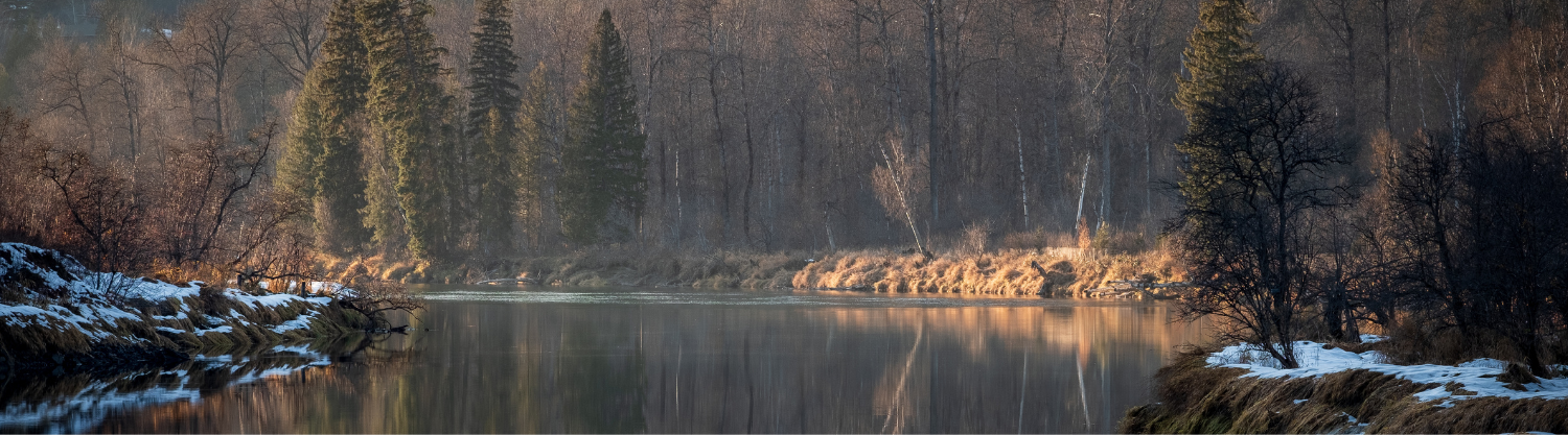 Risk Tolerance Policy